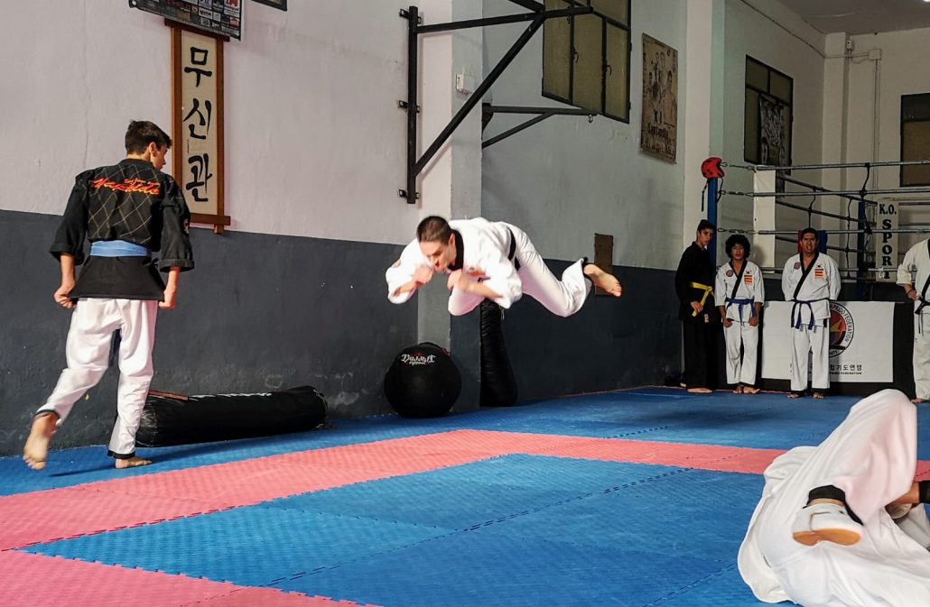 Técnicas De Hapkido - Todo Defensa Personal