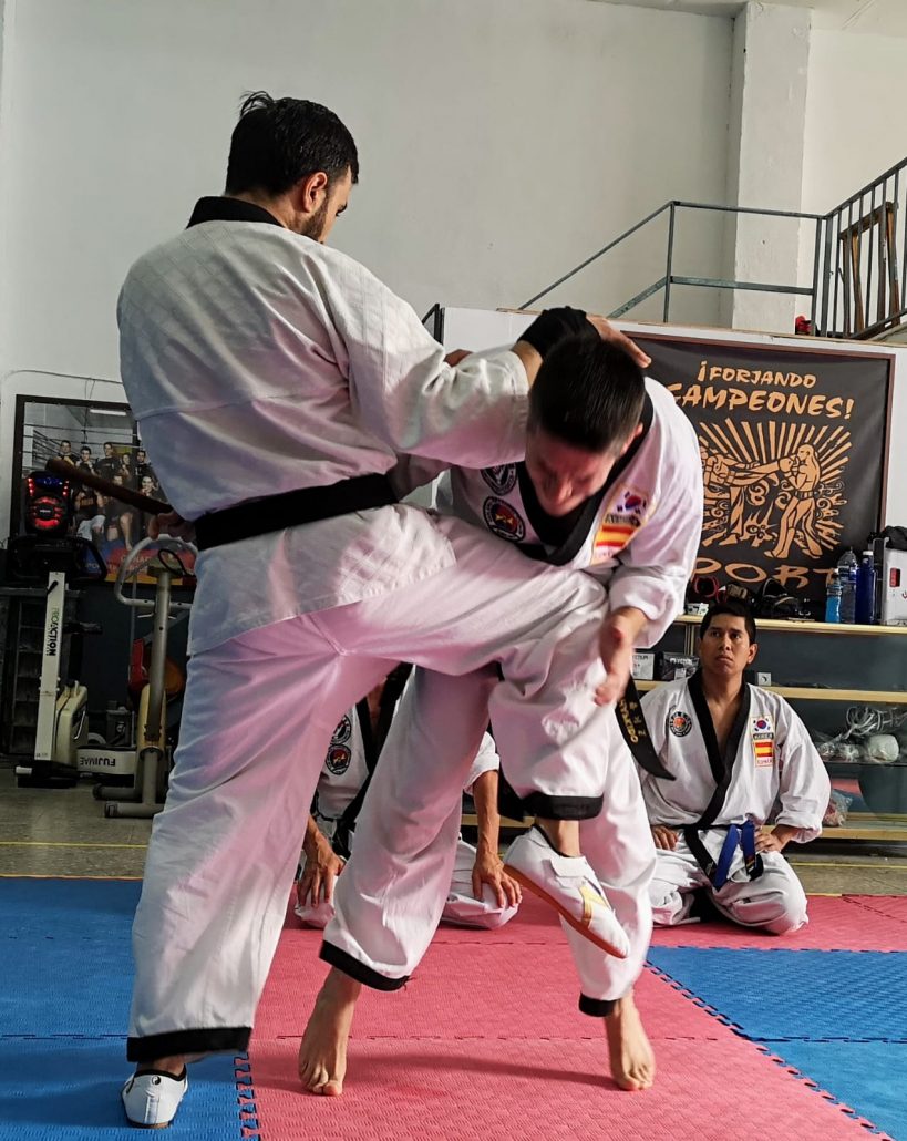 Técnicas De Hapkido - Todo Defensa Personal