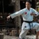 ¿Cuáles son los pasos básicos (movimientos) del karate?